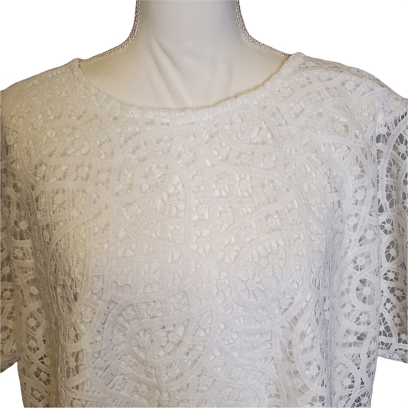 NWT Philosophy Short Sleeve Scoop Neck Lace Overlay Blouse - Picture 3 of 12